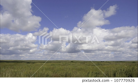 Summer landscape with field of grass,blue sky timelapse. Green Grass Field Landscape with fantastic clouds in the background. Great summer landscape. Summer landscape with field of grass,blue sky timelapse. Green Grass Field Landscape with fantastic clouds in the background. Great summer landscape. 107770926