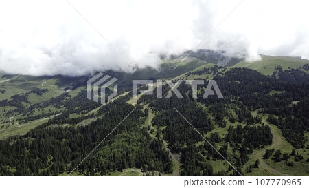 View of the Valley in early morning aerial view. Aerial view drone flying in the valley with pine tree forest in the mountain range 107770965