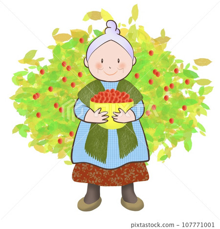 一位老婦人採摘漿果的插圖 107771001