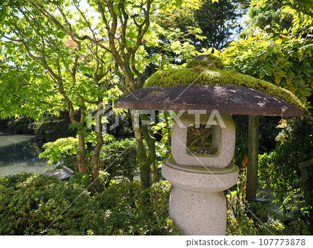 日本庭院燈籠（日光山輪王寺正陽園） 107773878