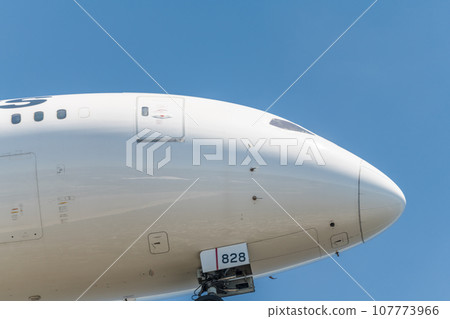 [日航飛機準備從城南島海濱公園上空降落] 107773966