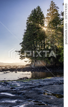 Rocky Shore on the Pacific Ocean Coast. Sunny Sunset. Botanical Beach, Vancouver Island Rocky Shore on the Pacific Ocean Coast. Sunny Sunset. Botanical Beach, Vancouver Island 107774303