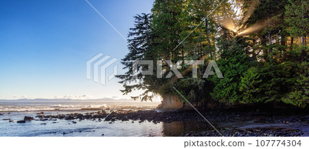 Rocky Shore on the Pacific Ocean Coast. Sunny Sunset. Botanical Beach, Vancouver Island Rocky Shore on the Pacific Ocean Coast. Sunny Sunset. Botanical Beach, Vancouver Island 107774304