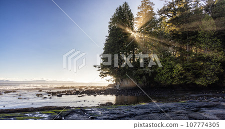 Rocky Shore on the Pacific Ocean Coast. Sunny Sunset. Botanical Beach, Vancouver Island Rocky Shore on the Pacific Ocean Coast. Sunny Sunset. Botanical Beach, Vancouver Island 107774305