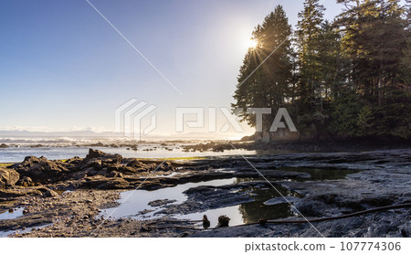 Rocky Shore on the Pacific Ocean Coast. Sunny Sunset. Botanical Beach, Vancouver Island Rocky Shore on the Pacific Ocean Coast. Sunny Sunset. Botanical Beach, Vancouver Island 107774306