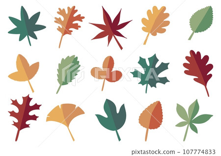Autumn leaves. Yellow red and green leaf, fall deciduous season, bright flora icons, foliage of maple oak and chestnut. Vector cartoon flat style isolated illustration floral and botanical set 107774833