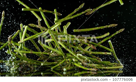 Fresh Asparagus Falling Down on Black Background. Fresh Asparagus Falling Down on Black Background. 107776006