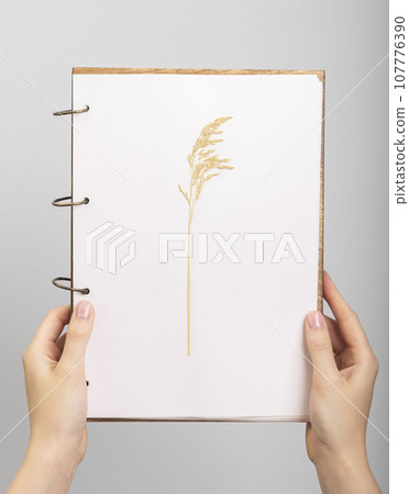 Herbarium book, botanical album page with dry plant 107776390