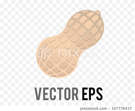 Isolated vector gradient beige natural peanut nut icon for food menu 107776437