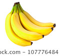 Bunch of bananas isolated on white background, clipping mask for design. 107776484