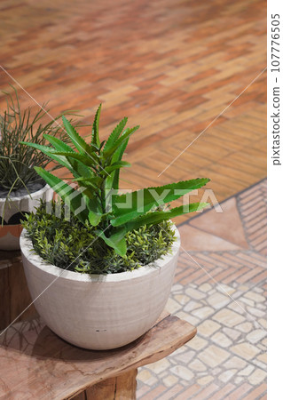 top view green plants in white clay pots on a wooden chair on marble floor and wood floor b ackground, object, decor, decoration, beautiful, copy space 107776505