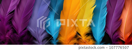 Vivid multi-colored feathers 107776507