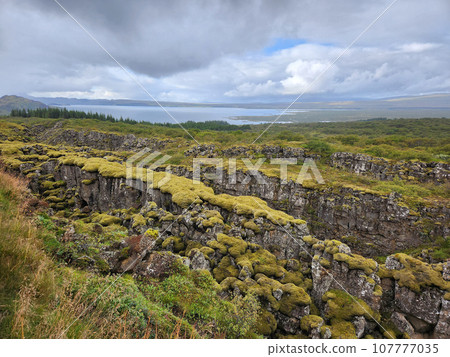 Moss covered lava ridges with Lake Myvatn in background in northern Iceland. 107777035