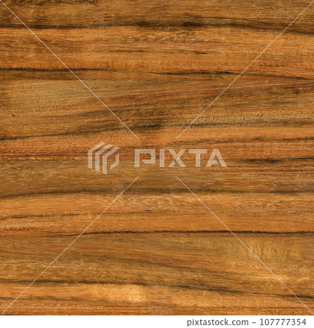Walnut wood, can be used as background, wood grain texture 107777354