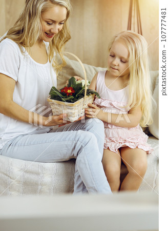 Happy mother day. Child daughter congratulates mom and gives her basket of spring flowers. Family concept Happy mother day. Child daughter congratulates mom and gives her basket of spring flowers. Family concept 107777481
