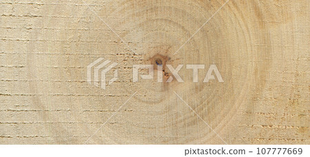 Walnut wood log, can be used as background, wood grain texture 107777669