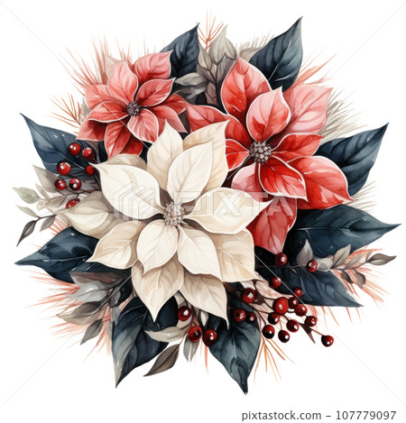 watercolor poinsettia christmas wreath flower isolated 107779097