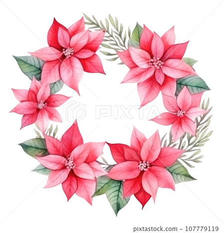 watercolor poinsettia flower isolated watercolor poinsettia flower isolated 107779119
