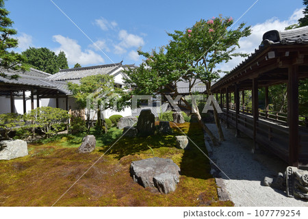 京都市左京區南禪寺庭園 107779254