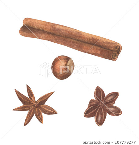 A set of spices drawn in watercolor. A set of spices drawn in watercolor. 107779277
