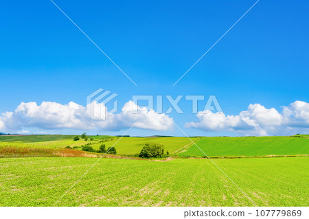 Hokkaido Summer (August) Biei/Furano Hokkaido Summer (August) Biei/Furano 107779869