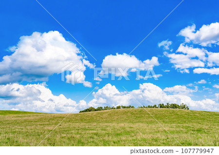 北海道夏季（8月）美瑛/富良野 107779947