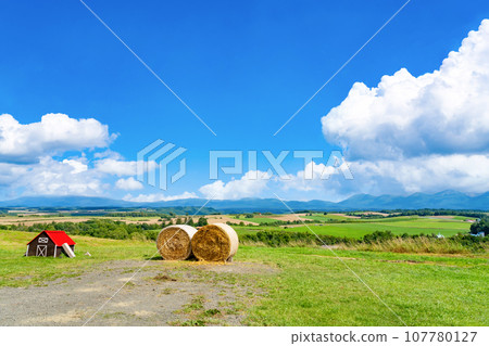 北海道夏季(8月)美瑛/富良野 北海道夏季(8月)美瑛/富良野 107780127