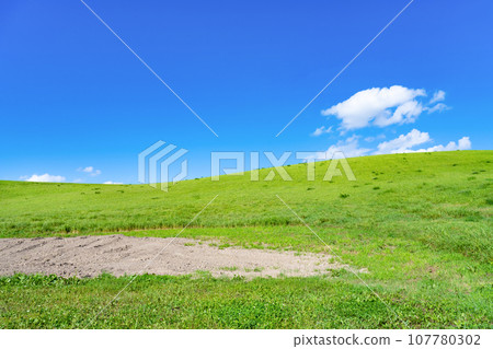 北海道夏季（8月）美瑛/富良野 107780302