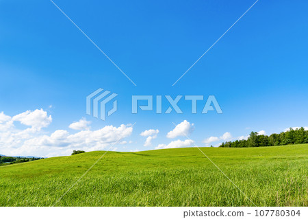 北海道夏季（8月）美瑛/富良野 107780304