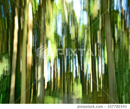 Forest image by ICM Forest image by ICM 107780343