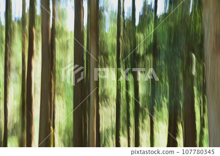 Forest image by ICM Forest image by ICM 107780345