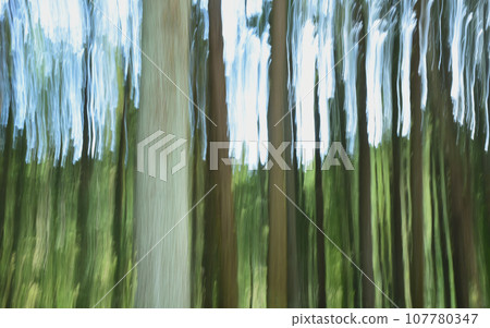 Forest image by ICM Forest image by ICM 107780347