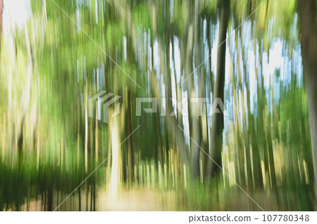 Forest image by ICM Forest image by ICM 107780348