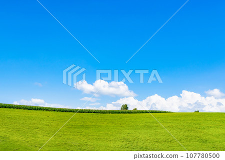 Hokkaido Summer (August) Biei/Furano 107780500