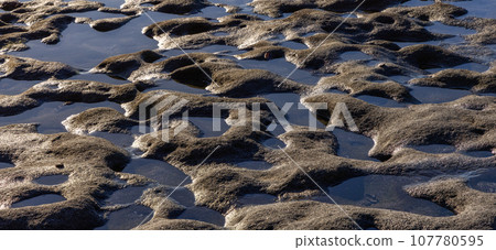 Rocky Shore on the Pacific Ocean Coast. Sunny Sunset. Nature Background Rocky Shore on the Pacific Ocean Coast. Sunny Sunset. Nature Background 107780595
