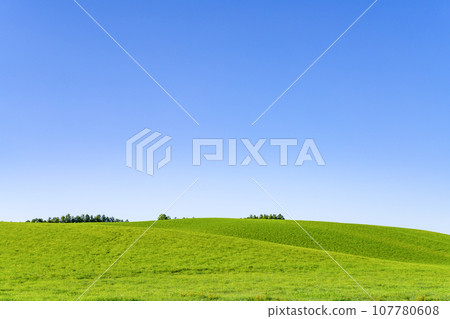 北海道夏季（8月）美瑛/富良野 107780608