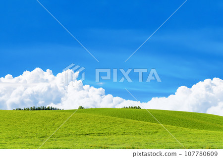 北海道夏季（8月）美瑛/富良野 107780609