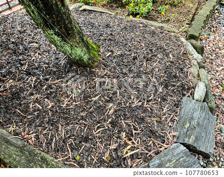 弱化花園樹木的覆蓋物 107780653