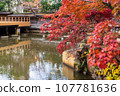 兵庫縣生田神社的秋葉 107781636