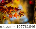 秋天的樹葉和背景散景 107781646