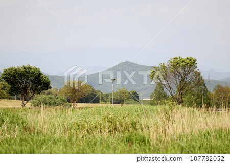 Watarase Reservoir is a vast area where you can enjoy rich nature. 107782052