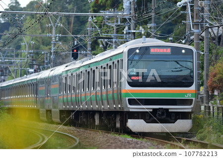 Between Kita-Kamakura and Kamakura Station on the Yokosuka Line 107782213