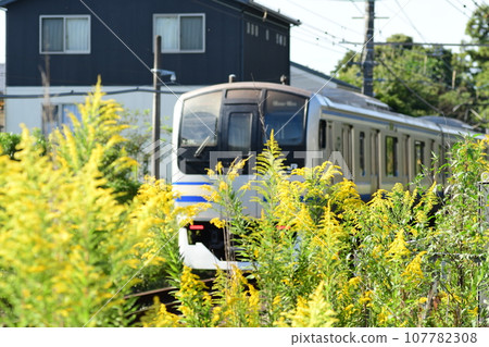 Between Kita-Kamakura and Kamakura Station on the Yokosuka Line 107782308