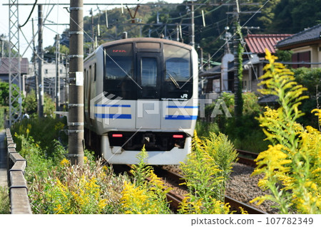 Between Kita-Kamakura and Kamakura Station on the Yokosuka Line 107782349