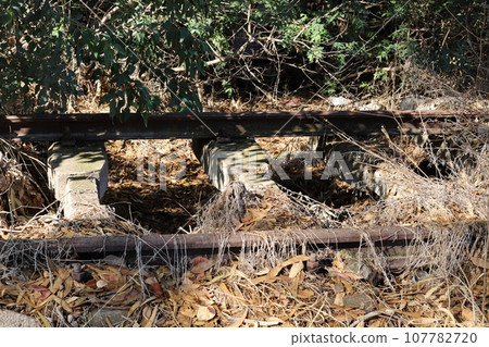 Old and destroyed railway from Israel to Lebanon. 107782720