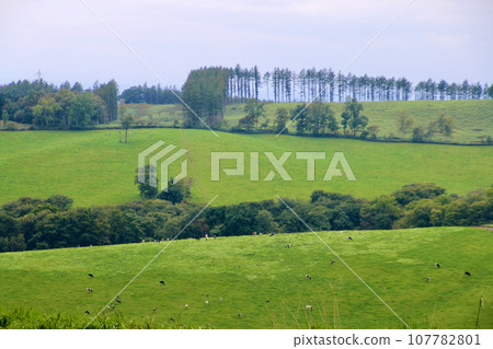 內體高原農場（北海道上川郡新得町） 107782801