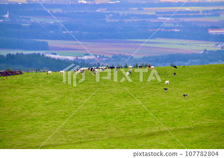 Naitai Kogen Farm (Shintoku-cho, Kamikawa-gun, Hokkaido) 107782804