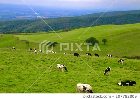 內體高原農場(北海道上川郡新得町) 內體高原農場(北海道上川郡新得町) 107782809