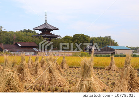 法喜寺三層塔（國寶）【奈良縣斑鳩町】 107783025