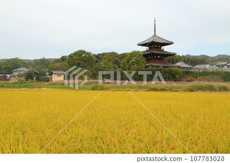 Three-storied pagoda at Hokiji Temple (National Treasure) [Ikaruga Town, Nara Prefecture] 107783028